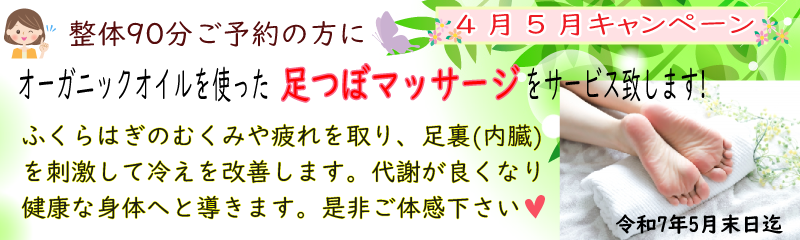 整体90分ご予約の方に オーガニックオイルを 使った足つぼマッサージをサービス致します！